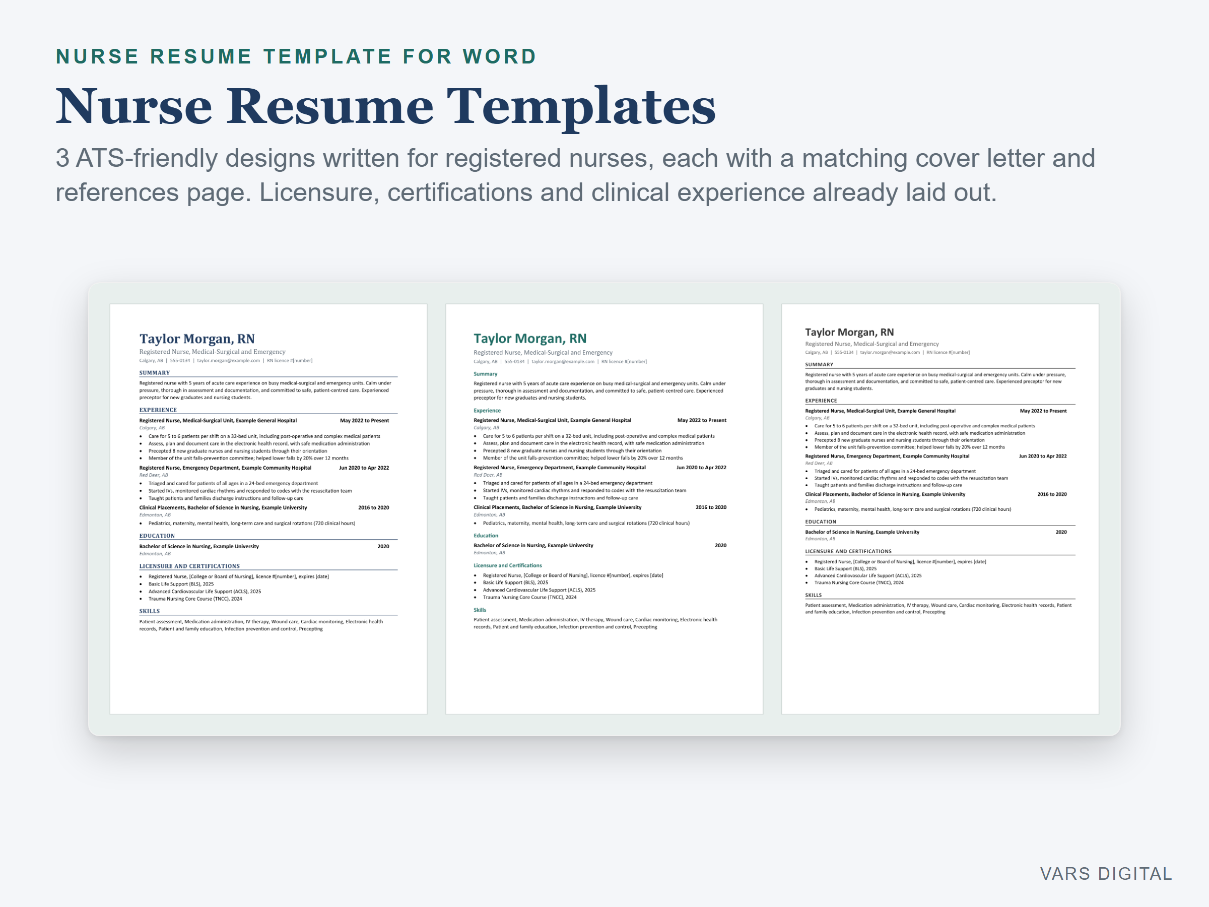 Nurse Resume Template (Word) preview